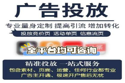 SEM主管实战技巧：案例分享与解读